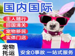 屯溪空运公司国际宠物托运 【国